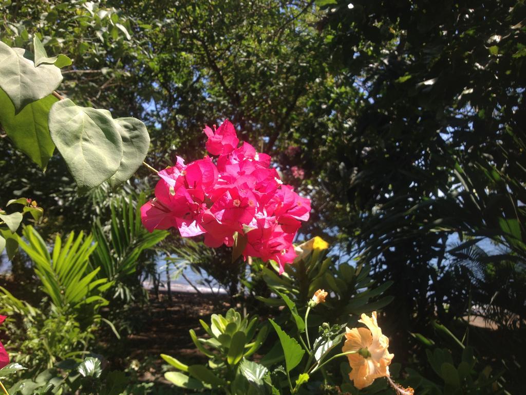 日落小屋旅馆 Hitokalak 外观 照片